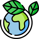 Positioning Bamboo as the Future of Sustainability